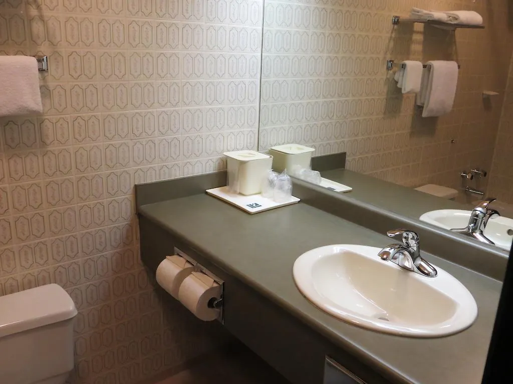 מלון Saanichton Quality Inn Waddling Dog
